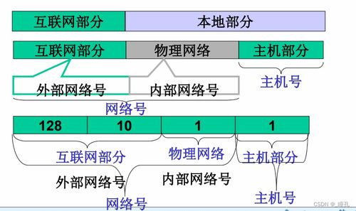 计算机网络技术 深入理解网络层的核心机制与功能